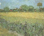 Vincent Van Gogh View of Arles with Irises in the Foreground (nn04) Germany oil painting reproduction